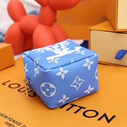 Louis Vuitton Squared Pouch