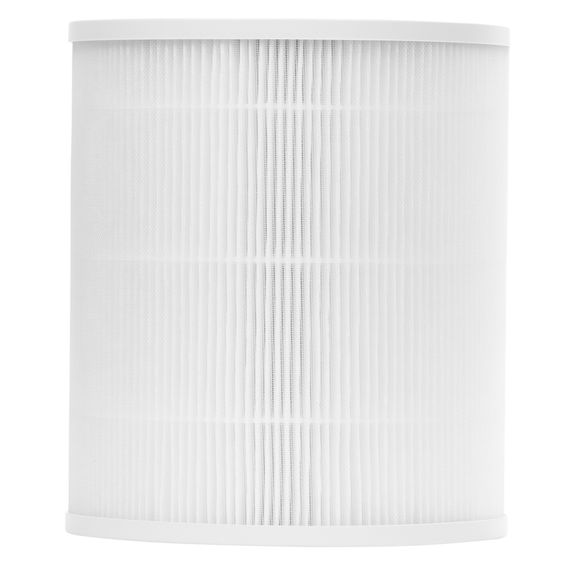 Фильтр Ballu FPHC-125 для очистителя воздуха AP-125 купить в Москве и Московской области по низкой цене с доставкой по России — (1) Фильтр Ballu FPHC-125 для очистителя воздуха AP-125 — (1)