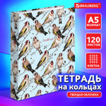 Тетрадь на кольцах А5 (175х215 мм) 120 листов твердый картон клетка BRAUBERG Щеглы (5 штук в упаковке)