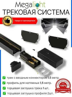 Трековая система освещения CITY 2TRA 220V Чёрный шинопровод осветительный двух-контактный однофазный трек в алюминиевом профиле для натяжных потолков 54x32x1500mm IP20 1.5 м.