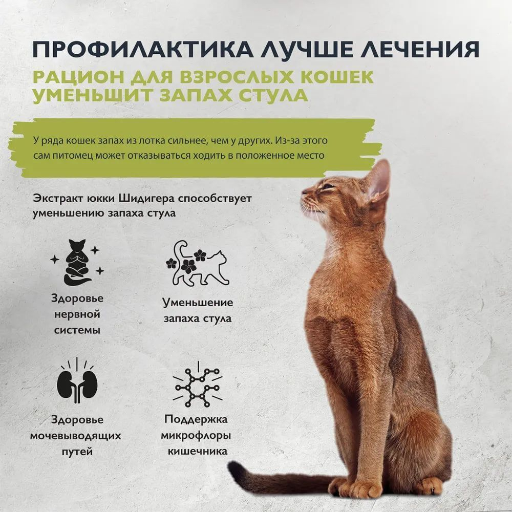 Сухой корм для взрослых домашних кошек с лососем и индейкой Cat Indoor Stool Odour Reduction BRIT CARE 1,5кг
