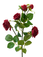 Роза кустовая красная 62 см