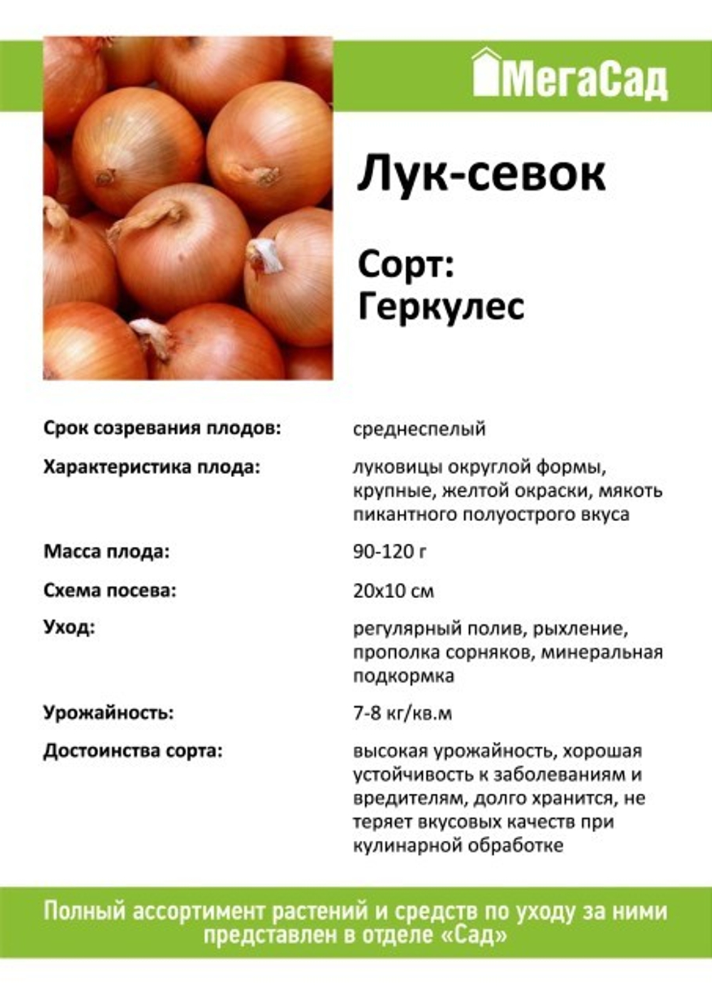 Лук севок сорт Геркулес 450гр