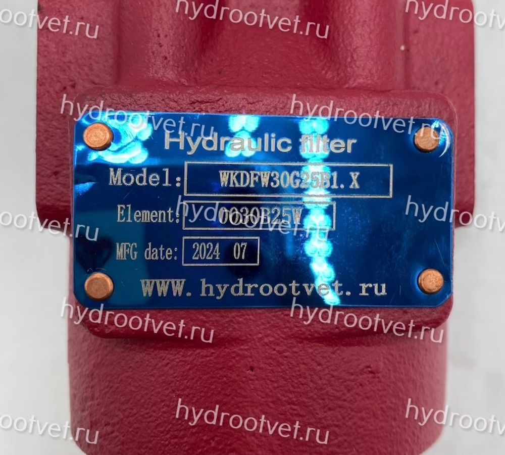 WKDFW30G25B1.X - Напорный фильтр гидравлический одинарный модели DF тонкость фильтрации 25 мкм, типоразмер 30, вид присоединения: резьба G1/2, материал корпуса - чугун, рабочее давление до 420 бар, визуальный индикатор загрязнения