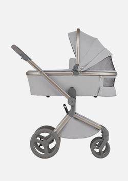 Anex Детская коляска Flo 2 в 1 Frossy