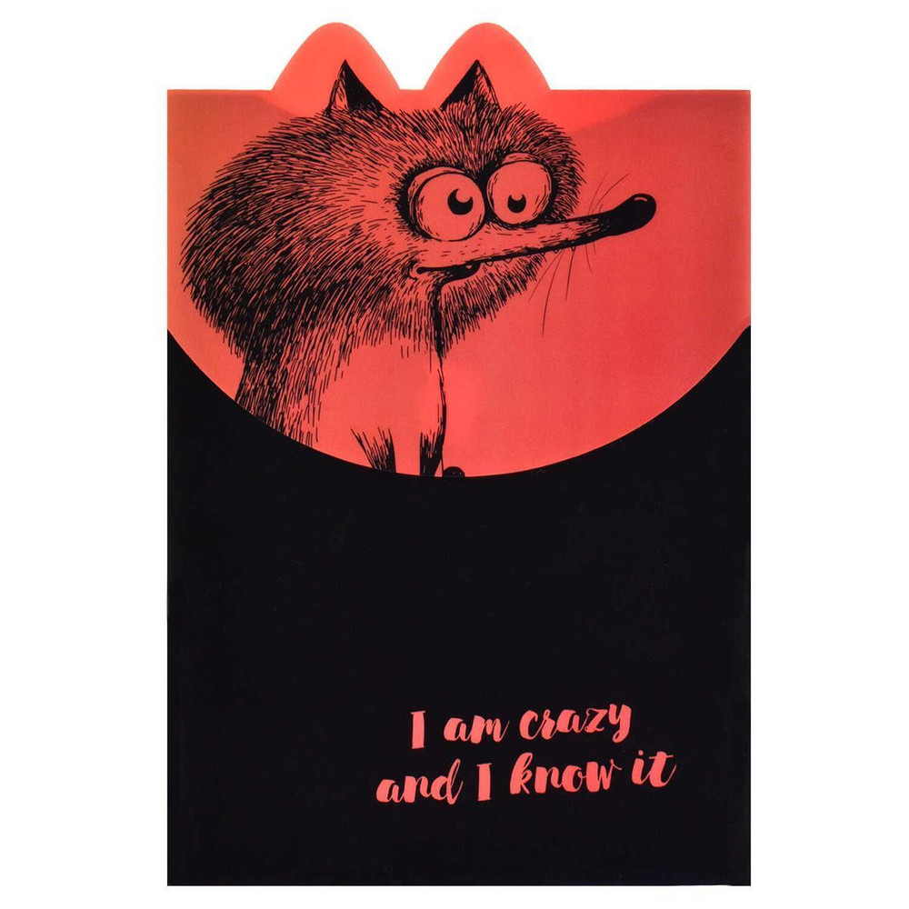 Папка д/тетрадей на липучке А4 1 отд. "Крэйзи белка" (Феникс+)