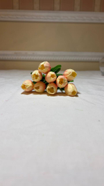 Тюльпаны Бежевые