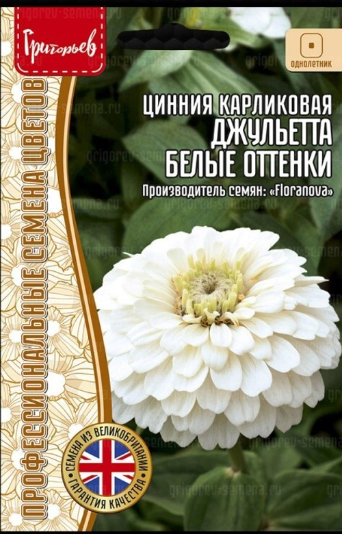 Цинния Джульетта Белые оттенки карликовая