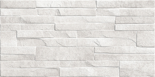 Discover TWU2550DCV14