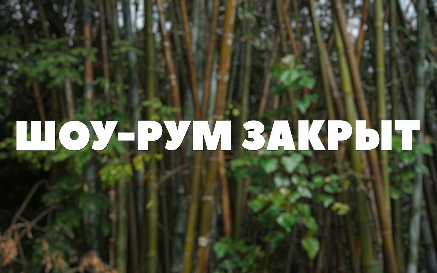 До 15.07.25 Шоу-рум закрыт!