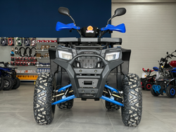 Квадроцикл PROMAX TAURUS 300