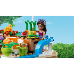 LEGO Friends - Плавучий дом на канале 41702