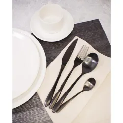 Вилка столовая 21,5 см матовая черный цвет PVD Alessi-Black P.L. [12]