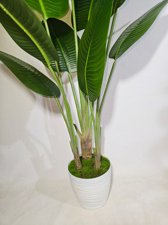 Искусственное растение Стрелиция Комнатная в кашпо