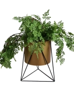 Кашпо для цветов комнатных