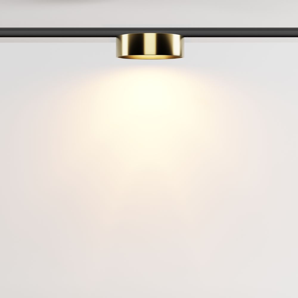 Трековый магнитный светодиодный светильник Maytoni Levity Zon TR189-1-12W2.7K-BBS