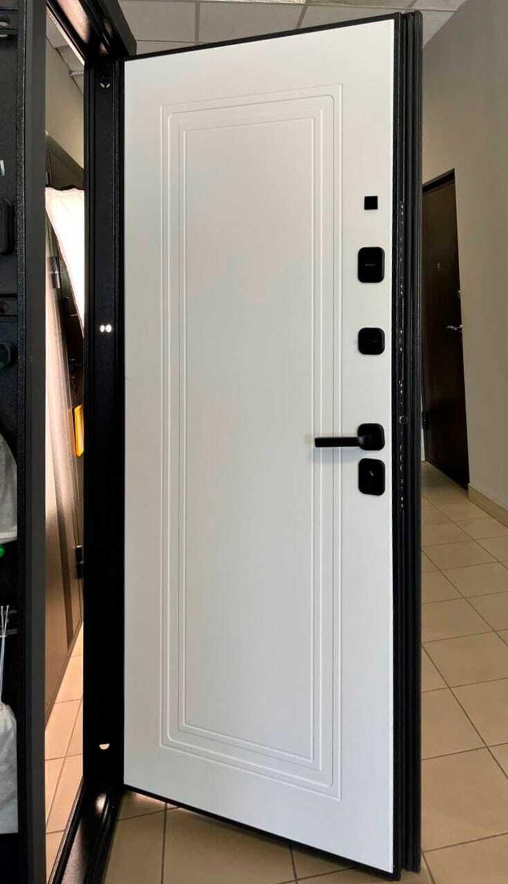 Дверь входная Амулет