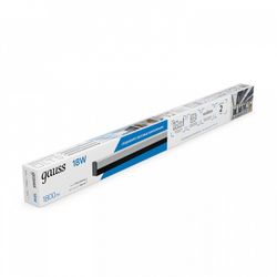 Накладной светильник Gauss  883625380