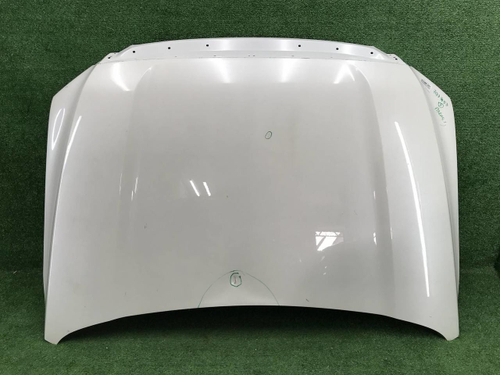 Капот Tank 500 (2021-н.в.) (В пленке)