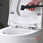 Гигиенический душ со смесителем Raglo R03.51.06, черный