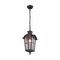 Уличный подвесной светильник Favourite Bristol 2036-1P