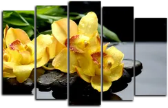 Модульная картина "Желтая орхидея"