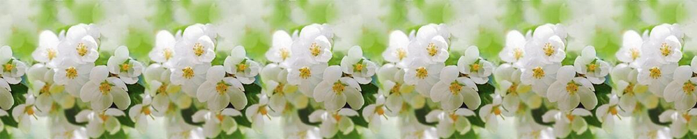 Кухонный фартук Весна 3000х600 мм