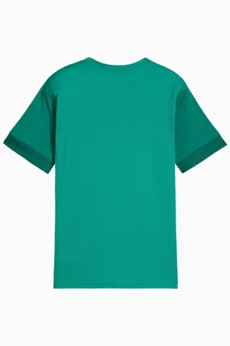 Футболка Puma teamGOAL Matchday Junior - зеленый