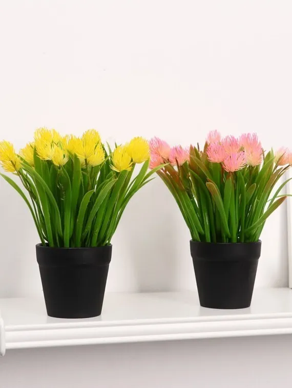 Бонсай в горшке &quot;Эхмея с травой&quot; 9*19 см, микс