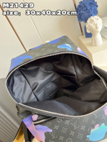 Louis Vuitton Discovery Backpack