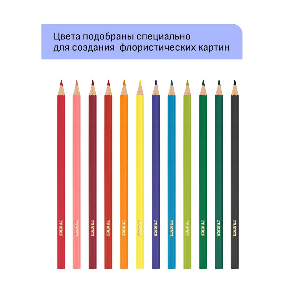 Карандаши цветные 12цв. Гамма Хобби. Флористика