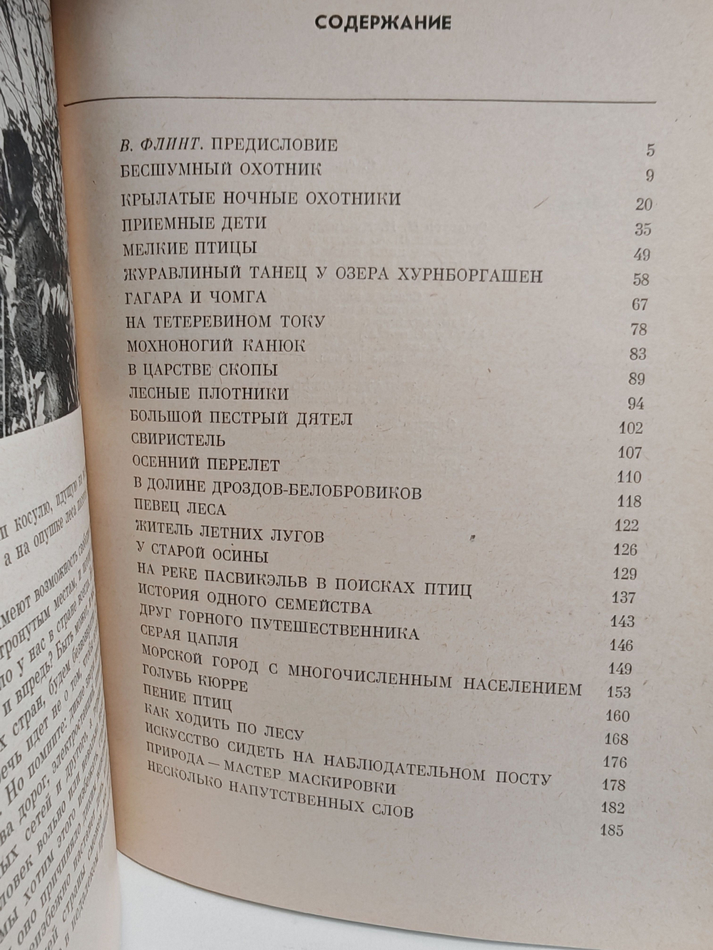 Летела птица