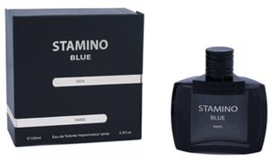 Prime Collection Stamino Blue