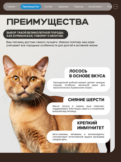 Корм сухой для взрослых кошек породы Бурманская, с лососем, 400 гр, QUATTRO