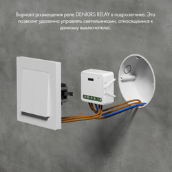 Wi-Fi реле Denkirs RL1004-DM