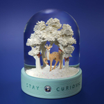 Любопытство