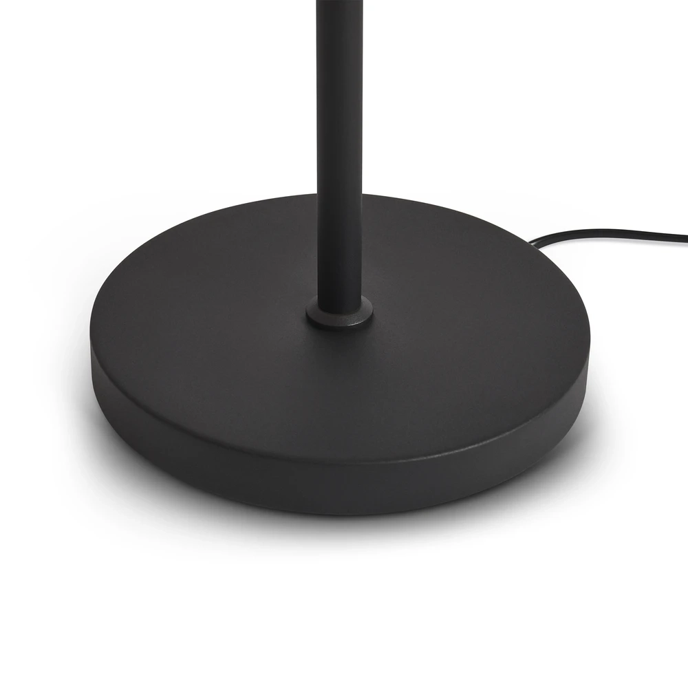 Торшер Freya AQUA FR5553FL-L20B