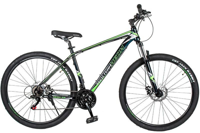 Горный велосипед Tech Team Neon 29