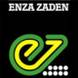 Enza Zaden