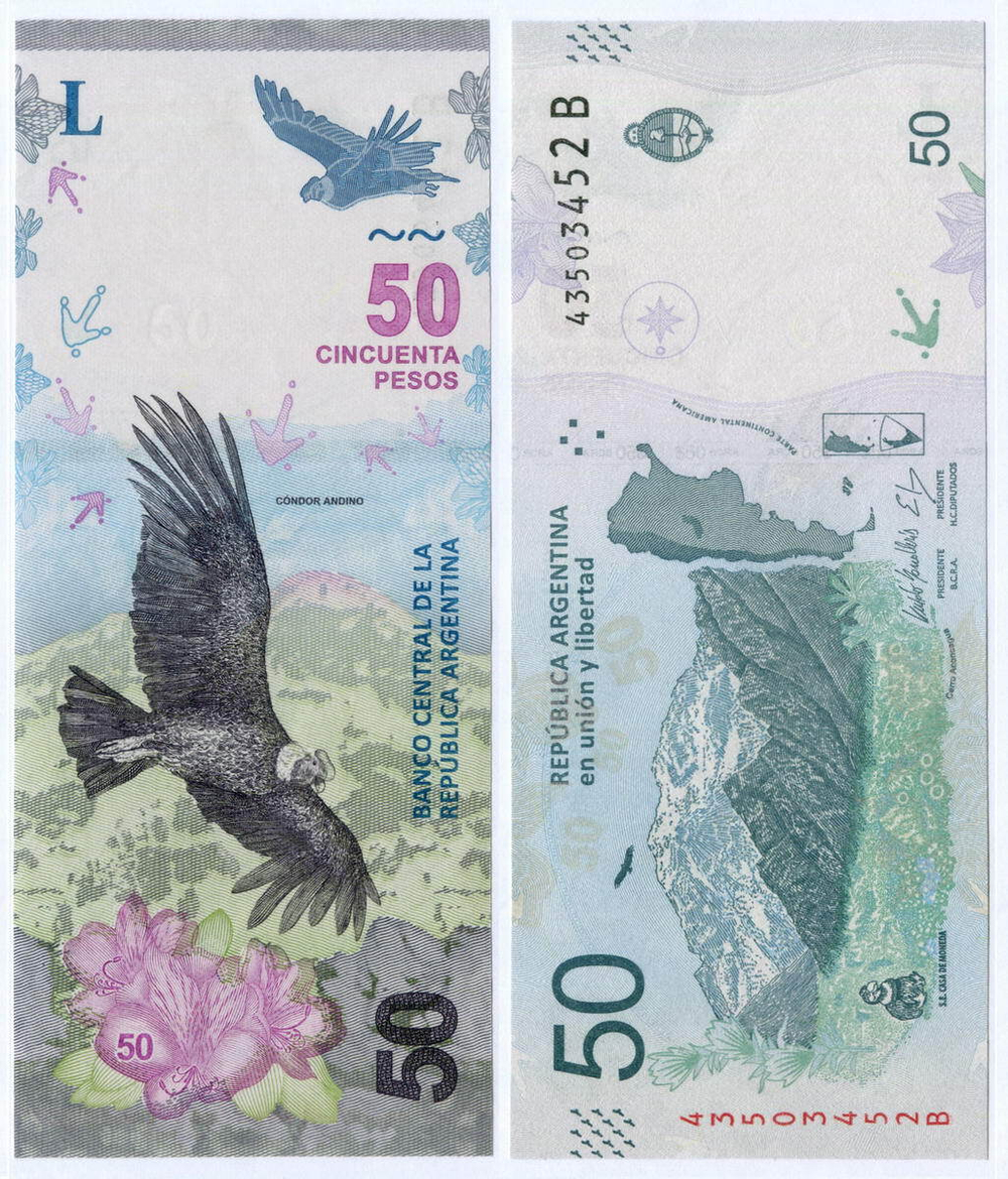 Банкнота Аргентина 50 песо 2018 год 43503452 B (Андский кондор). UNC