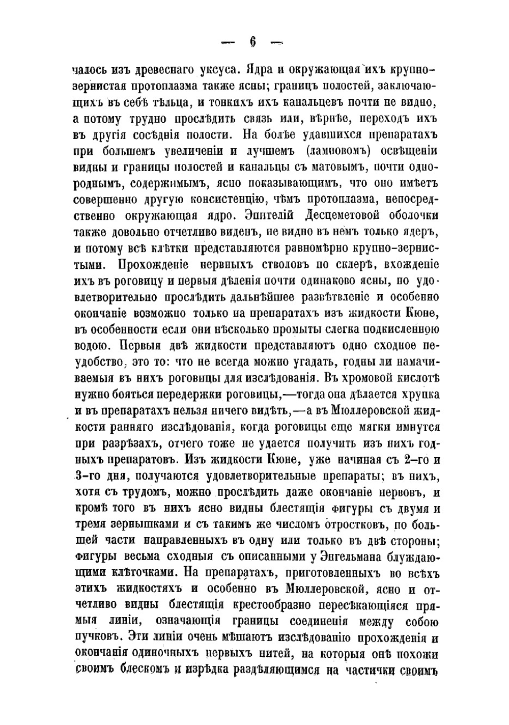 К гистологии роговой оболочки человеческого глаза | Николаев Максим Петрович