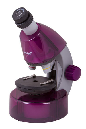 Микроскоп Levenhuk LabZZ M101 Аметист