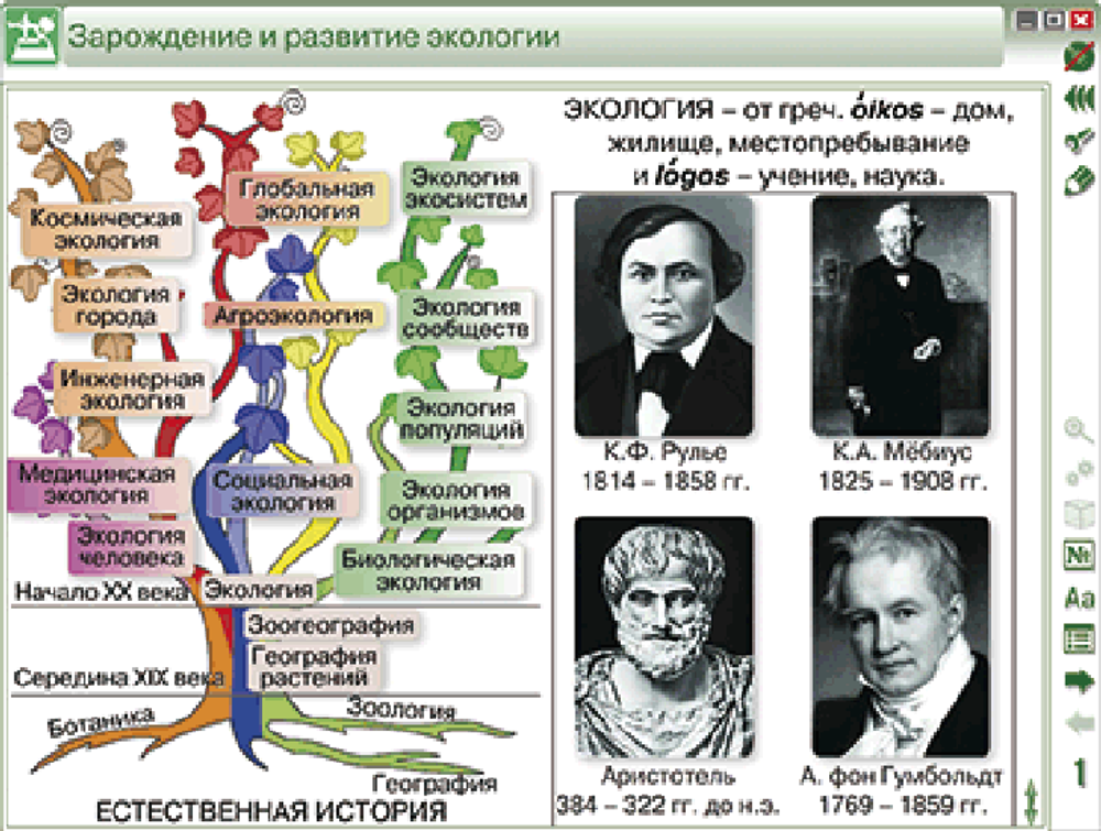 Наглядная биология. Введение в экологию