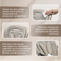 Стульчик-электрокачель BubaGO Aurora 4в1