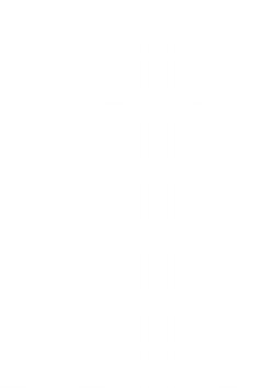 История России | В. А. Абаза