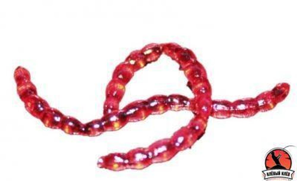 Искусственная приманка DS-BLOODWORM 120шт XL