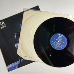 Винтажная виниловая пластинка LP Peter Gabriel Birdy (UK 1985) Floating Dogs
