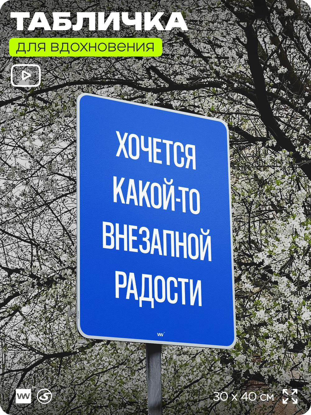 Табличка мотивационная большая "Хочется какой-то внезапной радости", аффирмация, для интерьера, 30х40 см, пластиковая, Айдентика Технолоджи