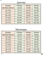 Свитшот для девочки Летучая мышь