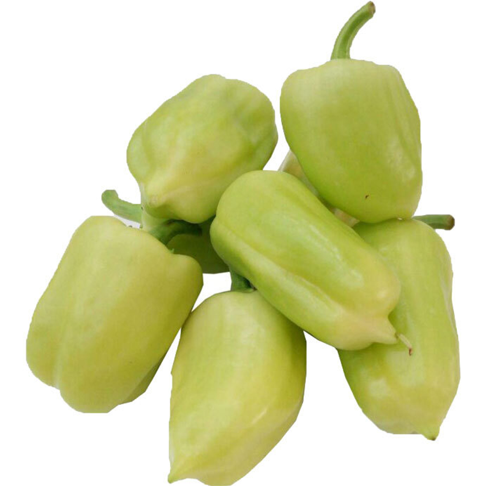 376565